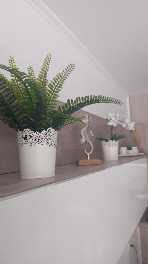 Apartamento Margarita Con Piscina En Playa Honda, Playa Las Americas Arona  Exteriör bild